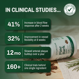 Pine Bark Extract
